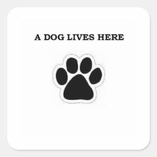 A Dog Lives Here Square Sticker
