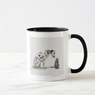 A dog looking at a cat mug