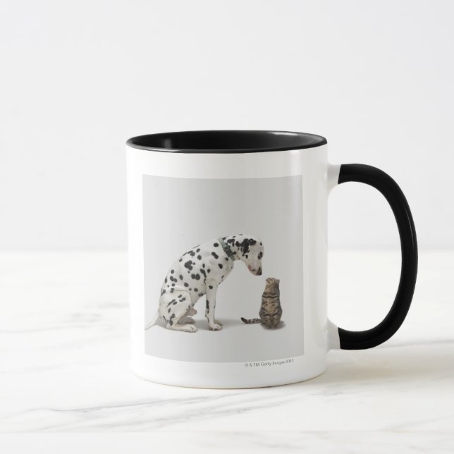 A dog looking at a cat mug (Right)