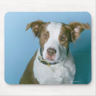 A dog mouse pad