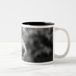 A dog outside. Two-Tone coffee mug