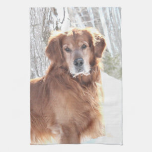 A Dog Towel