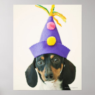 A dog wearing a funny hat poster
