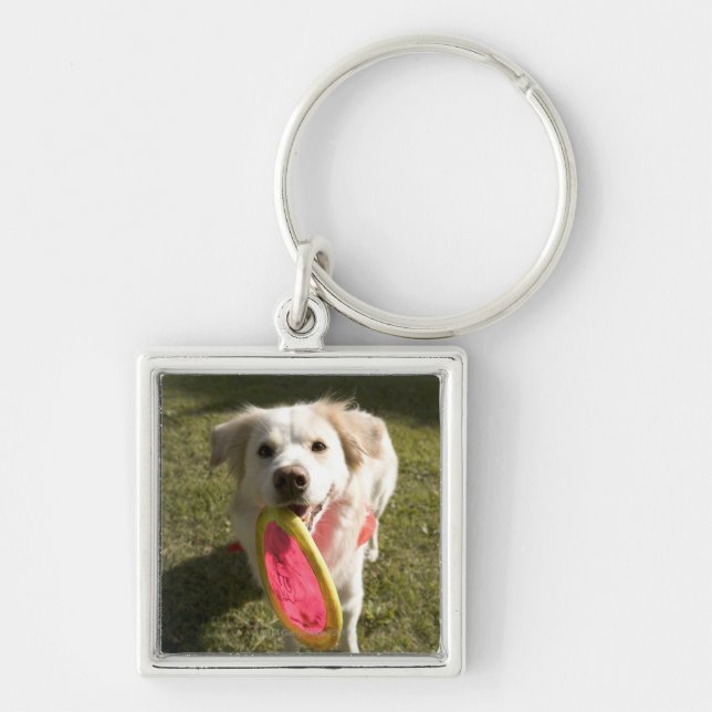 A dog with a frisbee key ring (Front)