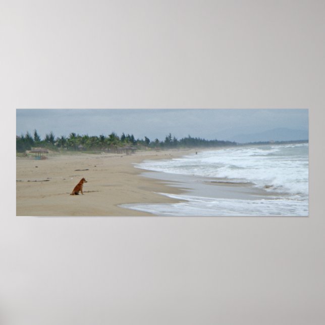 A Dogs Life Poster (Front)