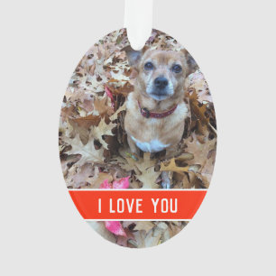 a dogs love ornament