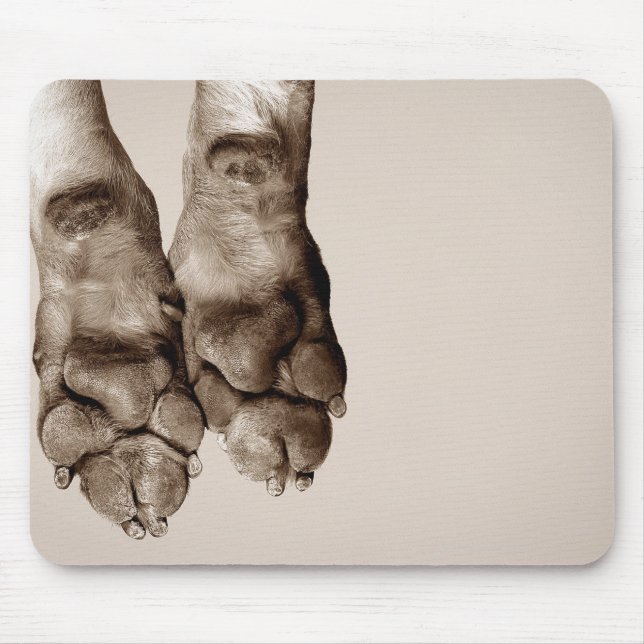 A dogs paws mouse pad (Front)