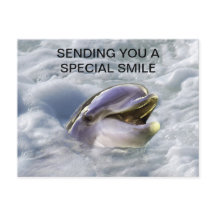 A dolphins best smile