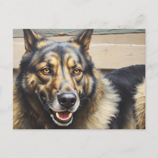 A domestic dog looks trustingly into the camera. postcard