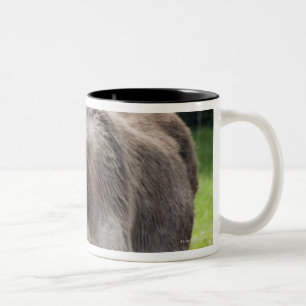 A donkey Two-Tone coffee mug