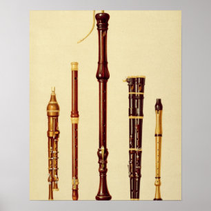 A double flageolet, a German flute, a bass recorde Poster