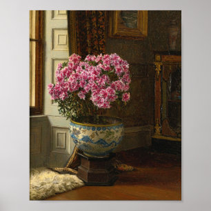 A Double Pink Azalea Jessica Hayllar Poster