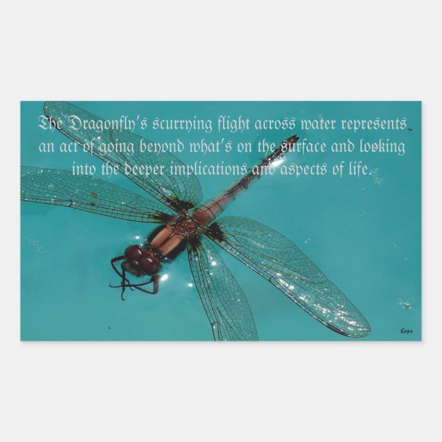 A Dragonflies Life 2 Sticker (Front)