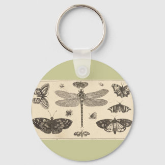 A dragonfly, ladybirds, and butterflies key ring