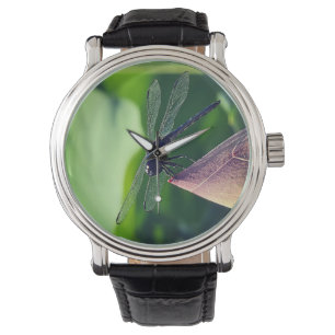 A dragonfly watch