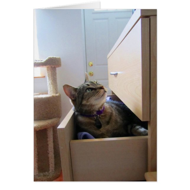 A Drawer For Indigo Card (Front)