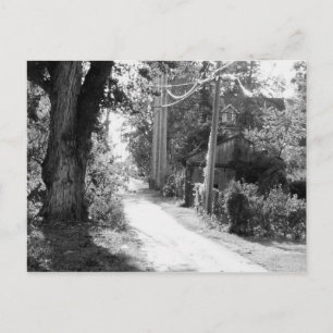 A Dream of Black and White Postcard