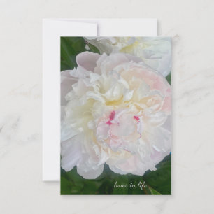 A Dreamy Blush Peony Card