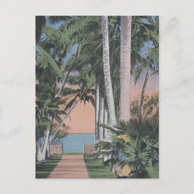 A Dreamy Florida Site Postcard (Front)