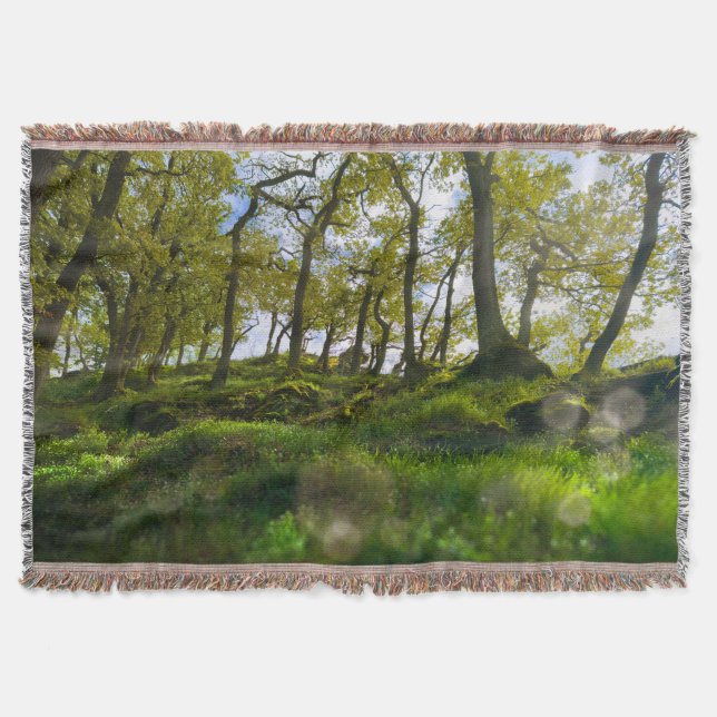 A Dreamy Whisper through the Trees  Throw Blanket (Front)
