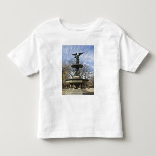 A dry winter Bethesda Fountain in Central Park Toddler T-Shirt