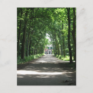 A Dutch Lane in Forrest in Holland Photo Postcard
