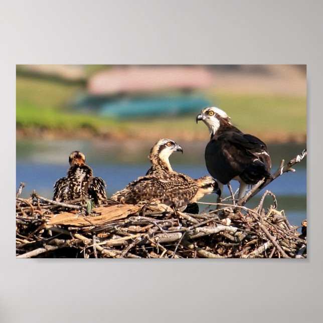 a Family Affair Poster (Front)