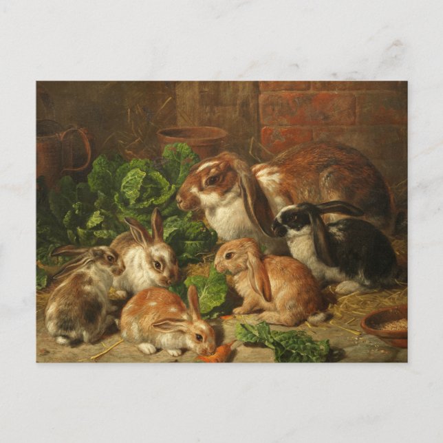A Family of Rabbits by Alfred Richardson Barber Postcard (Front)