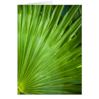 A Fan of Green