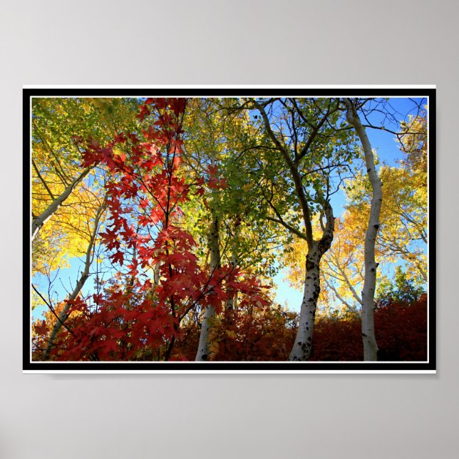 A Fantastic Fall (with border) Poster (Front)