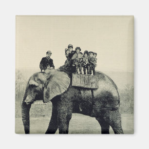 A Farewell Ride on Jumbo Magnet