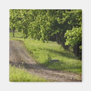 A farm road in Ipswich, Massachusetts. Magnet