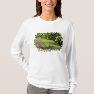 A farm road in Ipswich, Massachusetts. T-Shirt