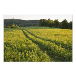 A farm road in Sabins Pasture in Montpelier, Photo Print
