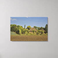 A farmed field in front of thatched roof houses