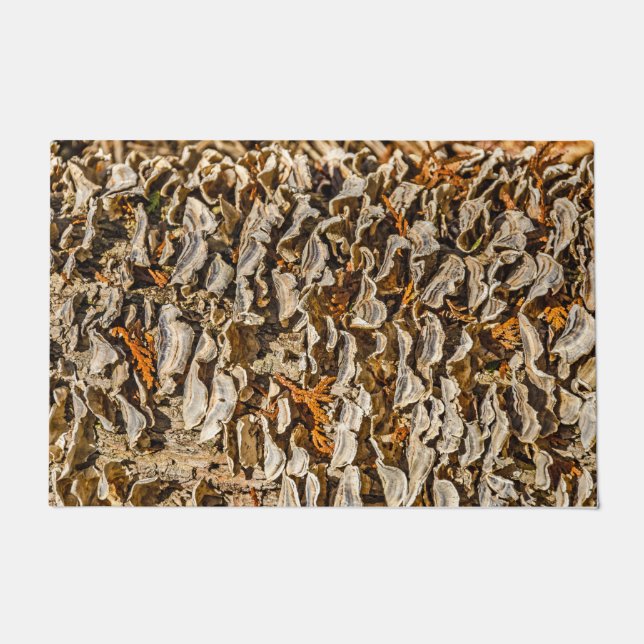 A Fascination with Fungi  Doormat (Front)
