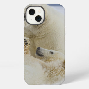 A female polar bear and her cub play in the snow iPhone 13 case