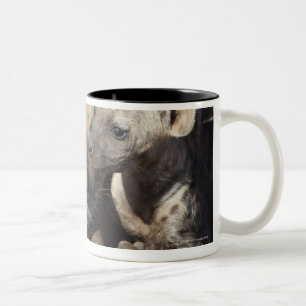 A female Spotted Hyena and her cub, Kruger Two-Tone Coffee Mug
