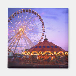 A ferris wheel and carousel at the Navy Pier in Magnet