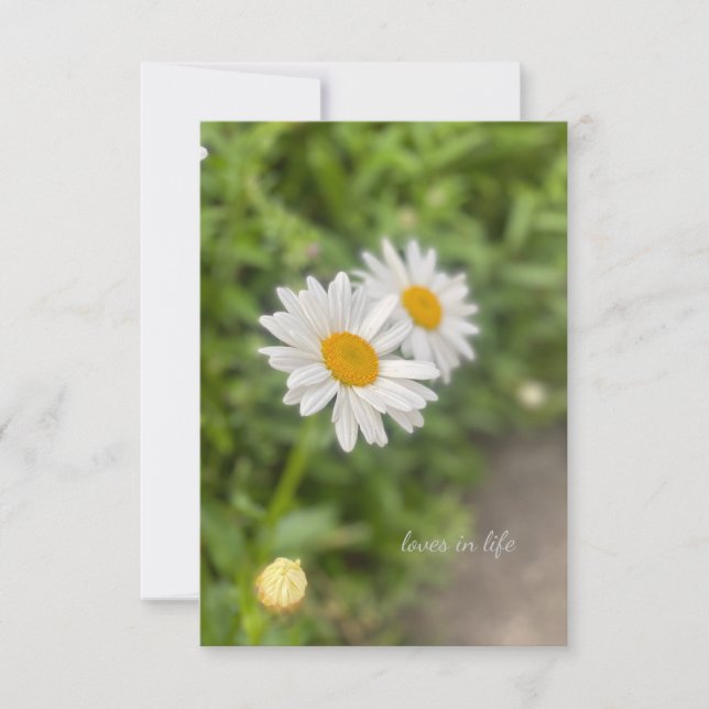 A Few Daisies Card (Front)