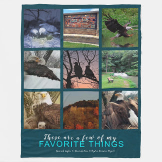A few of my favorite things: Decorah Eagles Fleece Blanket