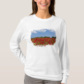 A Field Full Of Red Flowers T-Shirt