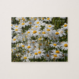 A Field of Oxeye Daisies Jigsaw Puzzle