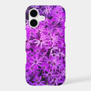 A field of Purple and Pink Daisies