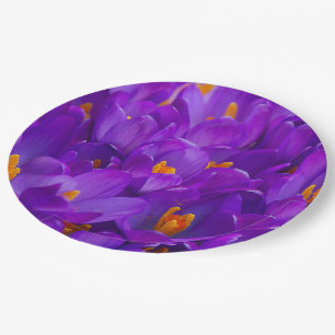 A Field of Purple Crocuses Paper Plate