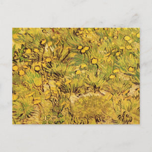 A Field of Yellow Flowers by Vincent van Gogh Postcard