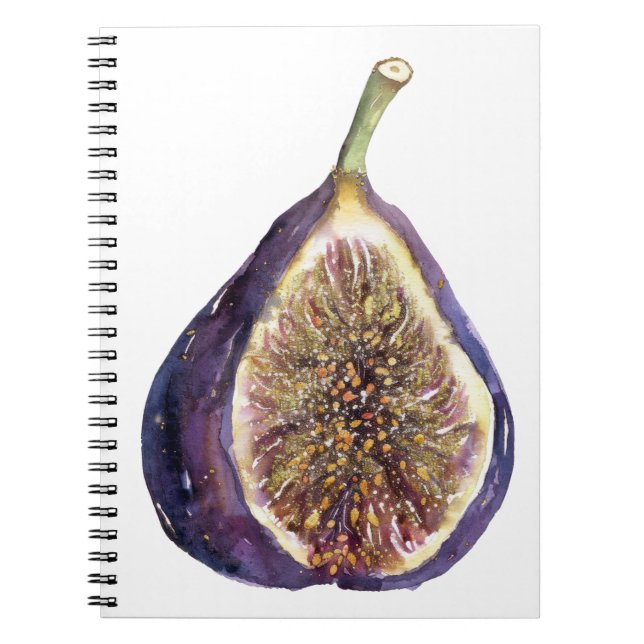 A Fig Painting Notebook (Front)