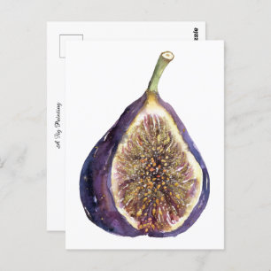 A Fig Painting Postcard