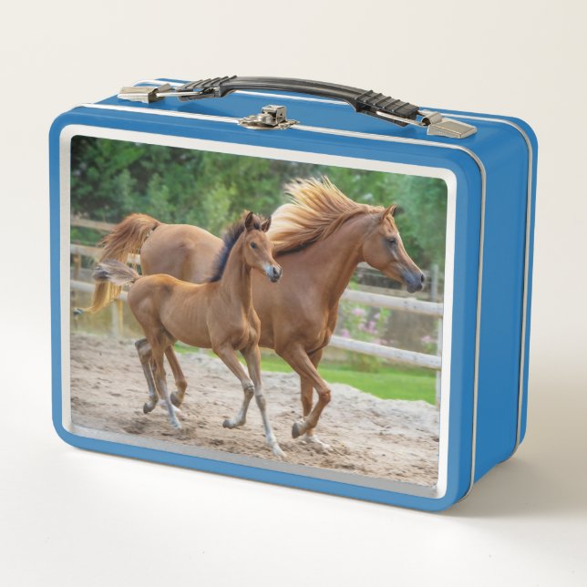 A Filly and her Mum  Metal Lunch Box (Front)