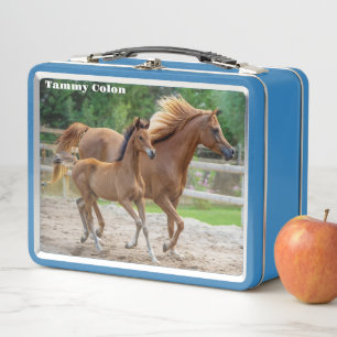 A Filly and her Mum Metal Lunch Box